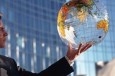 BCCI Survey: Germany is again the most preferred destination for business trips and cooperation