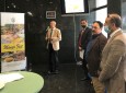 BCCI hosted a cocktail – presentation of the tropical fruit mango